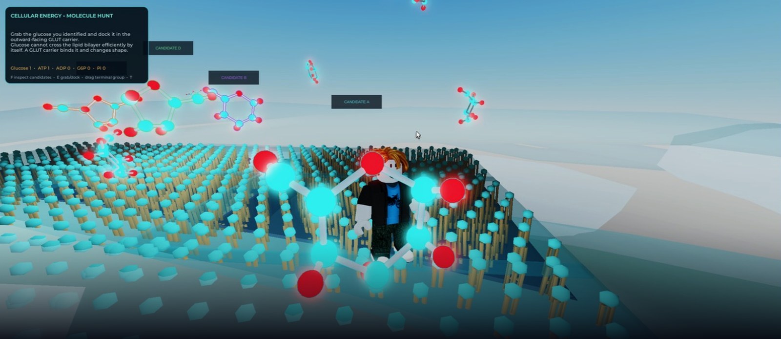In-engine capture from Living Cell: a player stands on the lipid bilayer inside the cell with a glowing ball-and-stick glucose molecule at hand height. Candidate molecules float above, and the mission card reads: Cellular Energy, Molecule Hunt — grab the glucose you identified and dock it in the outward-facing GLUT carrier.