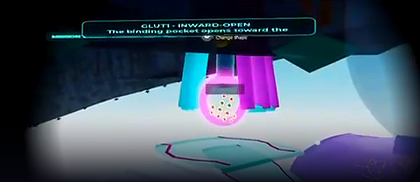 In-game capture from Living Cell: a glucose molecule held over the open binding pocket of a GLUT1 transporter, with an in-world label reading GLUT1 — inward-open.